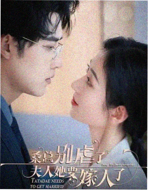 半城烟雨剧集在线观看